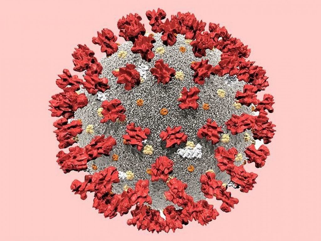 200612–1423-coronavirus-stockadobe-002